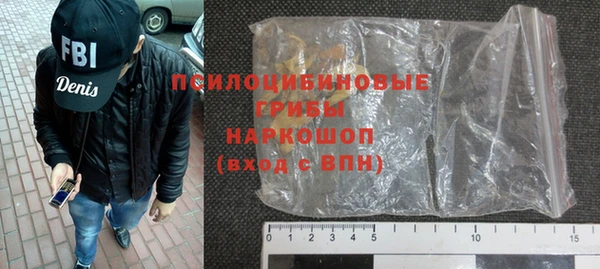 apvp Богородицк