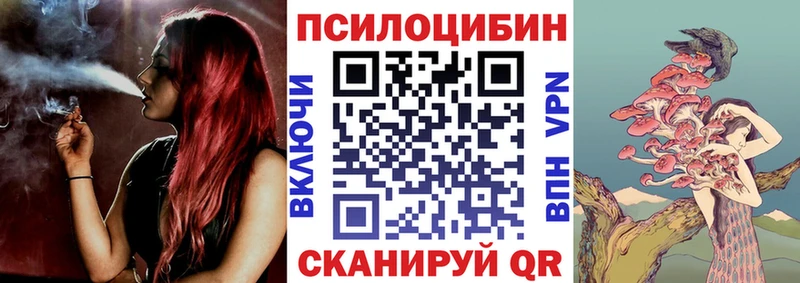 Галлюциногенные грибы Psilocybine cubensis  Бузулук 
